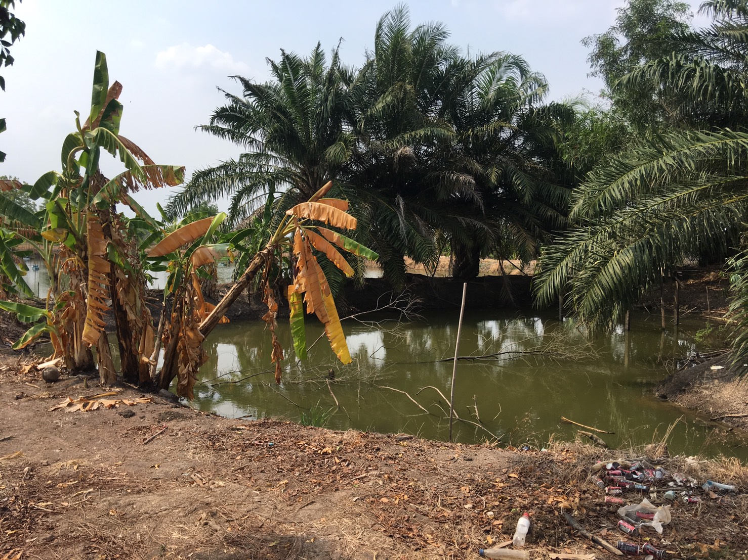 ขาย-ที่ดินเปล่า 30ไร่ ต.ศรีจุฬา อ.เมือง จ.นครนายก