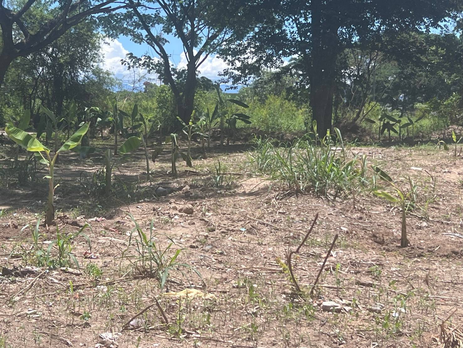 ขายที่ดินเปล่าพื้นที่ 2ไร่ 3งาน58 ตรว. ตำบลหนองจ๊อม อำเภอสันทราย จังหวัดเชียงใหม่