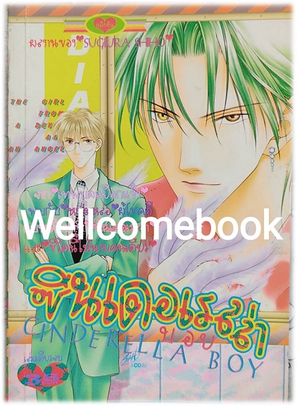 Cinderalla Boy ซินเดอเรลล่าบอย เล่มเดียวจบ ~Sugiura Shiho~