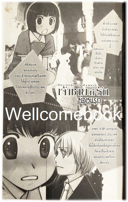 เจ้าชายที่รัก เล่มเดียวจบ ~Aihara Miki~