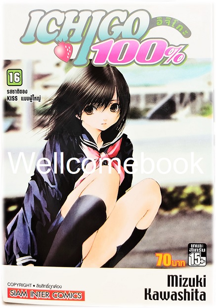 Xรวมชุด "Ichigo อิจิโกะ 100% 19 เล่มจบ + Short Stories ตอนพิเศษ เล่มเดียวจบ" ~Mizuki Kawashita~