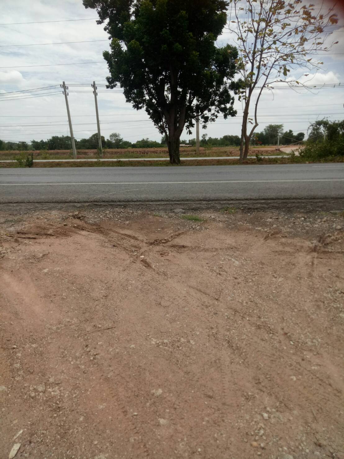 ขาย-ที่ดินเปล่า จำนวน2500ไร่ ถ กบินทร์บุรี-ปักธงชัย(304)ต.งิ้ว อ.ปักธงชัย จ.นครราชสีมา