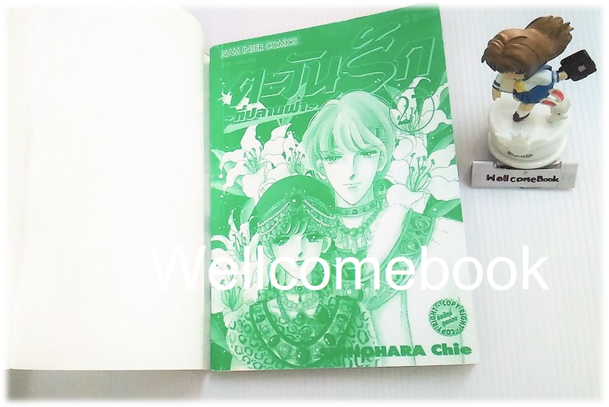 รวมชุด "ตะวันรักที่ปลายฟ้า" 28 เล่มจบ ~Shinohara Chie~