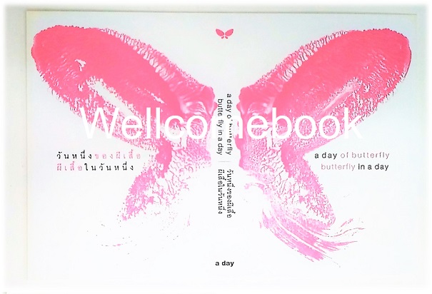 โป้สการ์ดลาย 'a day of butterfly butterfly in a day วันหนึ่งของผีเสื้อ ผีเสื้อในวันหนึ่ง'