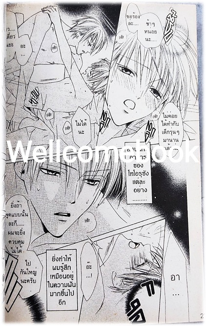 Immoral Lovesickness เล่มเดียวจบ ~MInami Haruka~