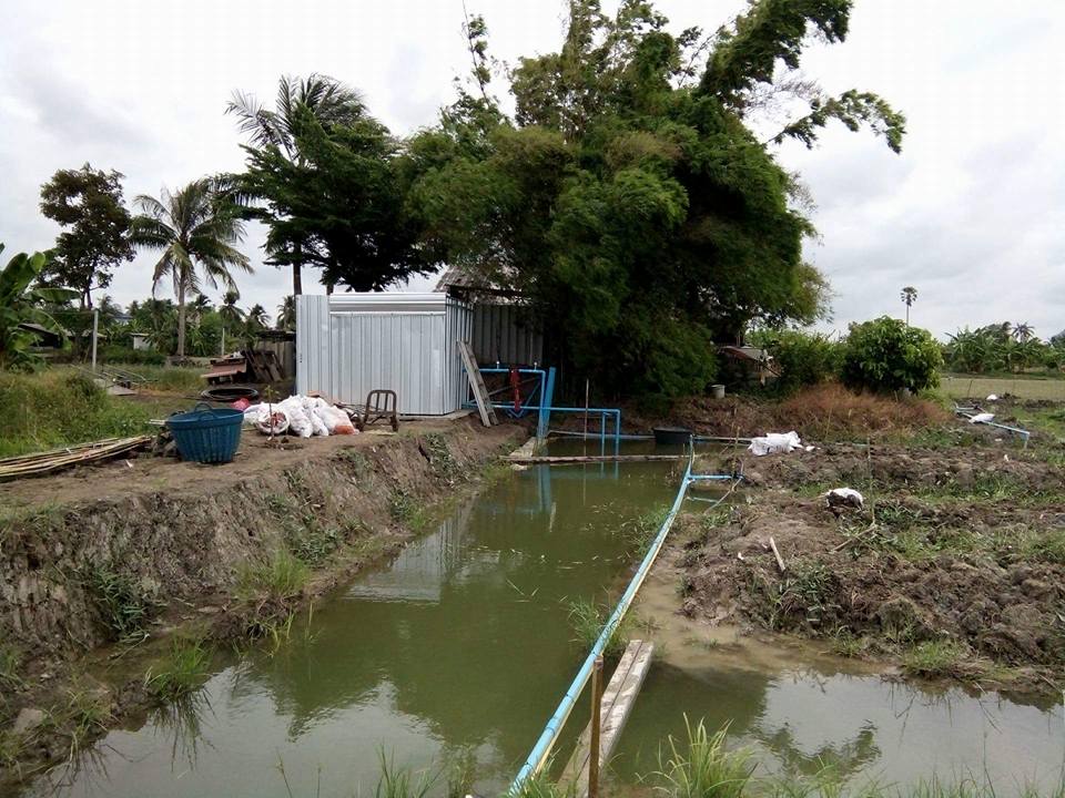 งานออกแบบติดตั้งระบบควบคุมการรดน้ำ