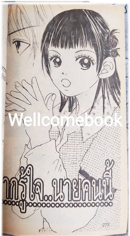 ขอรักเธอแบบลับๆ เล่มเดียวจบ