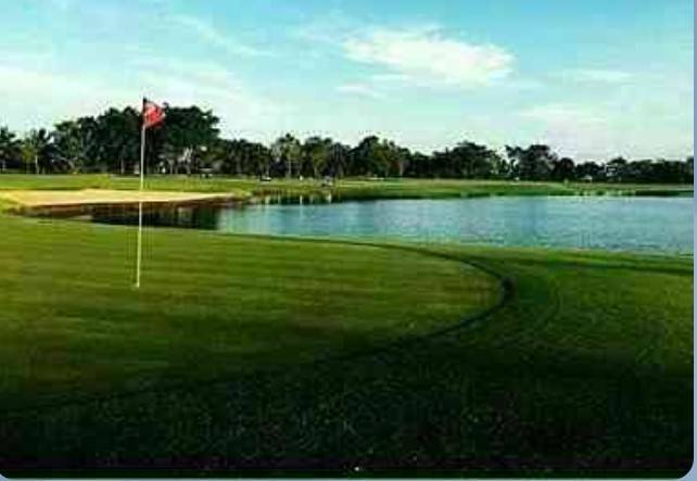 ขาย-สนามกอล์ฟฟรีนิกซ์ เนื้อที่1082ไร่ 54หมู่5 ซอยสุวินทวงศ์ แขวงลำต้อยติ่ง เขตหนองจอก กรุงเทพฯ