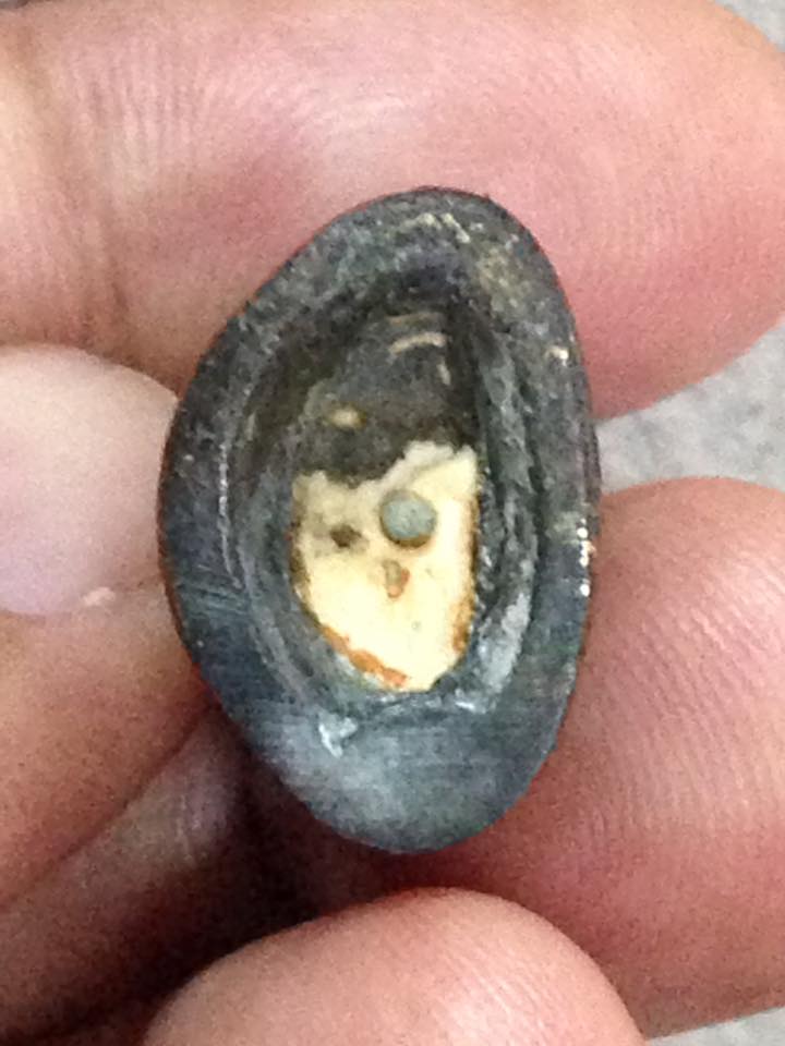 พระปิดตา ไม่ทราบที่