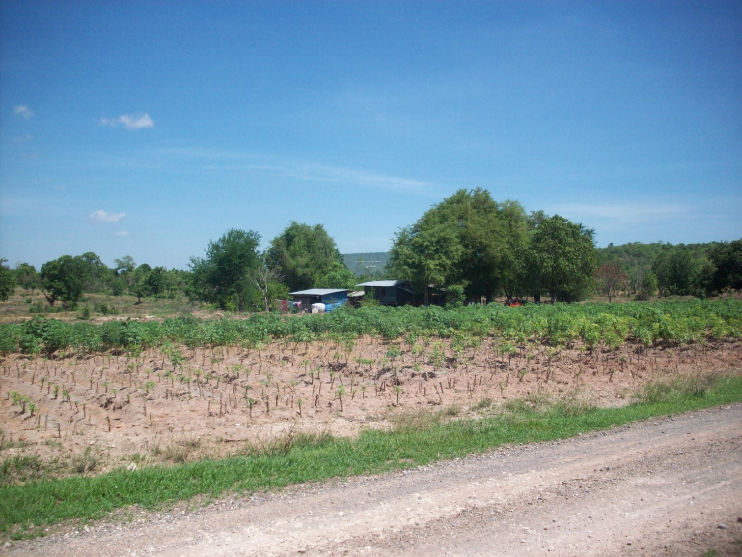 ขาย - ที่ดิน 400 ไร่ พัฒนานิคม ลพบุรี (แปลงที่1)