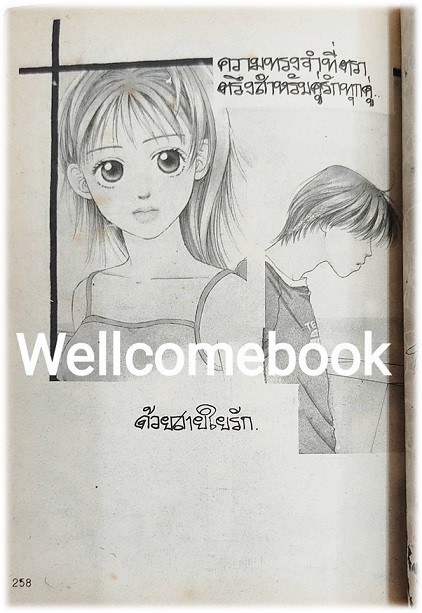 ผีแม่สื่อเพื่อนซี้ เล่มเดียวจบ