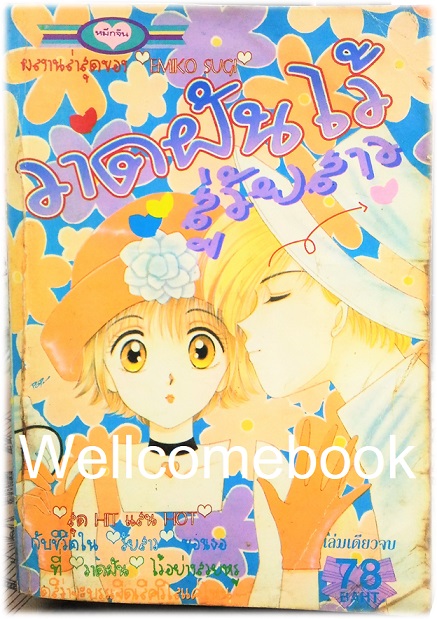 วาดฝันไว้สู่วัยสาว เล่มเดียวจบ ~Emiko Sugi~