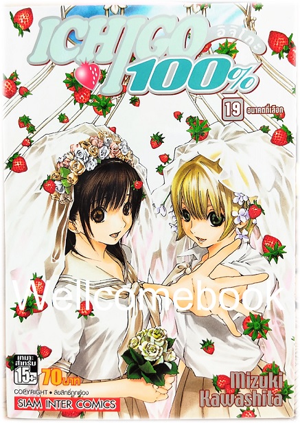 Xรวมชุด "Ichigo อิจิโกะ 100% 19 เล่มจบ + Short Stories ตอนพิเศษ เล่มเดียวจบ" ~Mizuki Kawashita~