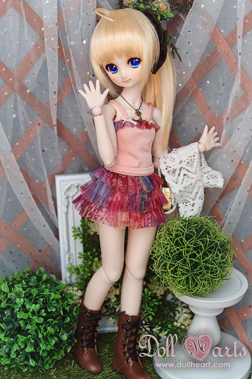 [SALE -50%] MDD Begonia