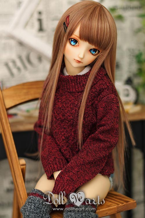 [SALE -40%] SD13G Fall (Burgundy)