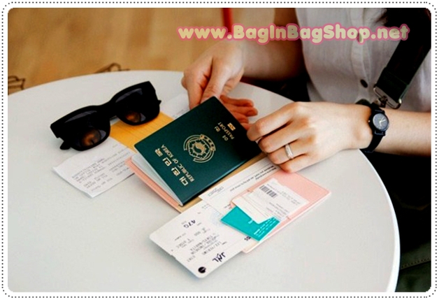 Iconic Anti Skimming Passport Case