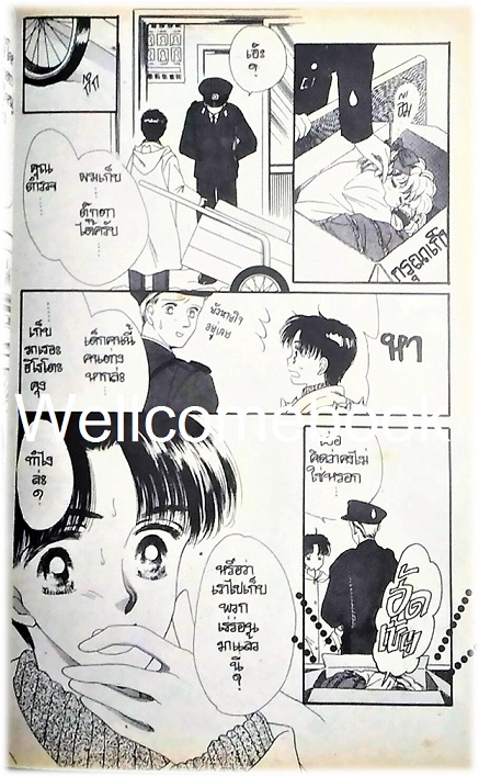 Xรวมชุด "Cotton Candy คอตตอน แคนดี้" 3 เล่มจบ ~Makimura Kumi~