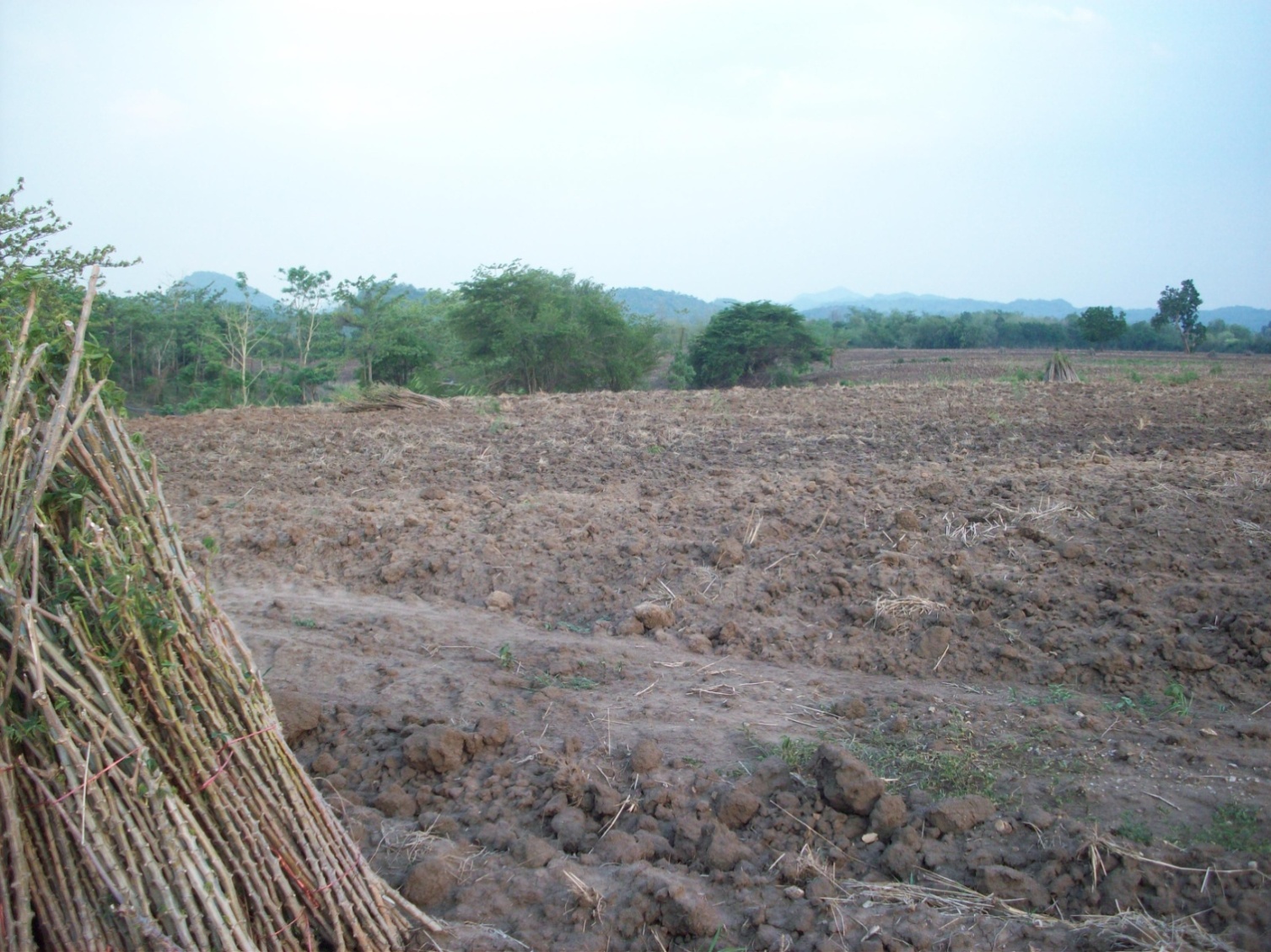 ขาย-ที่ดินเปล่า 300 ไร่ แปลงใหญ่ เจ้าของเดียว ตำบลหินซ้อน อำเภอแก่งคอย จังหวัดสระบุรี