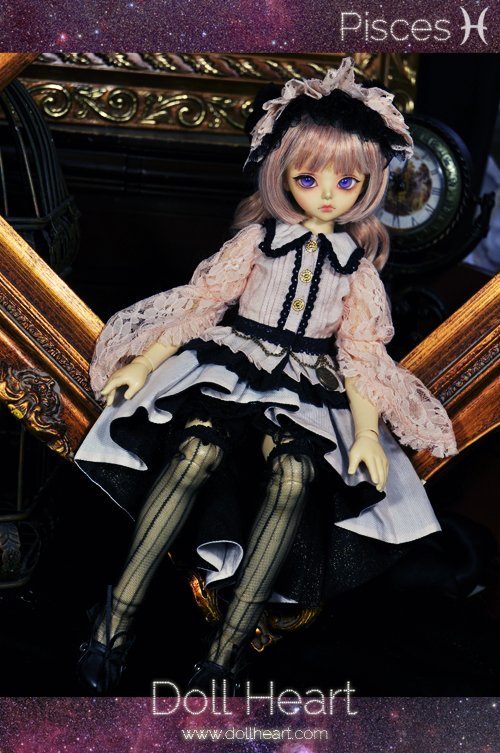 [SALE -50%] MSD MD-213