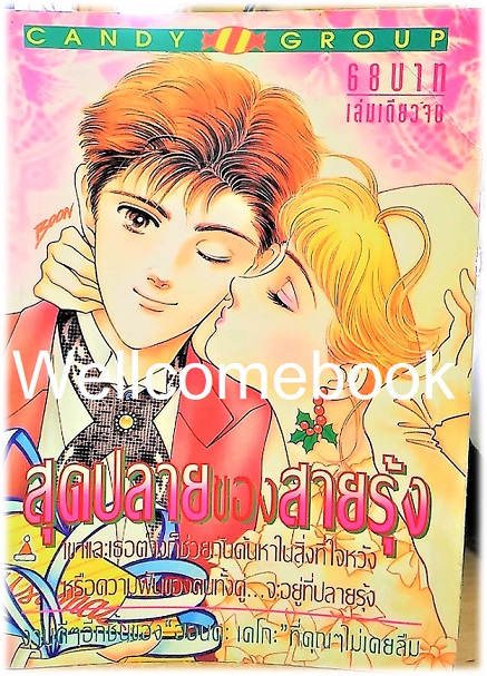 สุดปลายของสายรุ้ง เล่มเดียวจบ ~Honda Keiko~