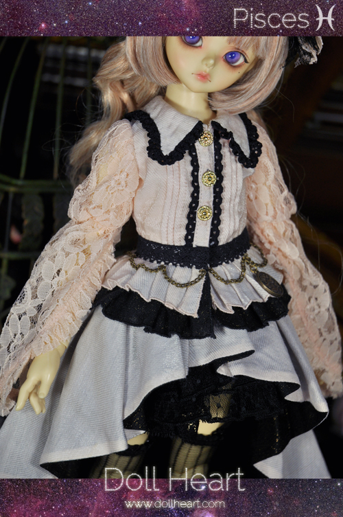 [SALE -50%] MSD MD-213