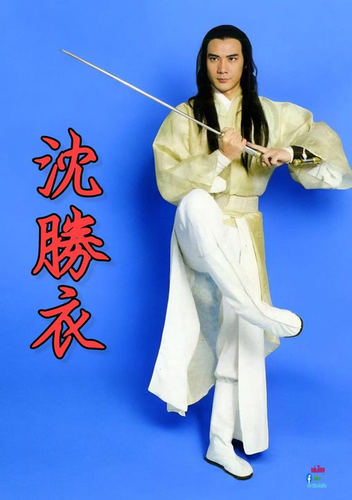 พยัคฆ์ลำพอง 4 แผ่น ฉีเส้าเฉียน ,หม๋าเหมี่ยนเอ๋อ และดาราร่วมสบทบรับเชิญอีกมากมาย