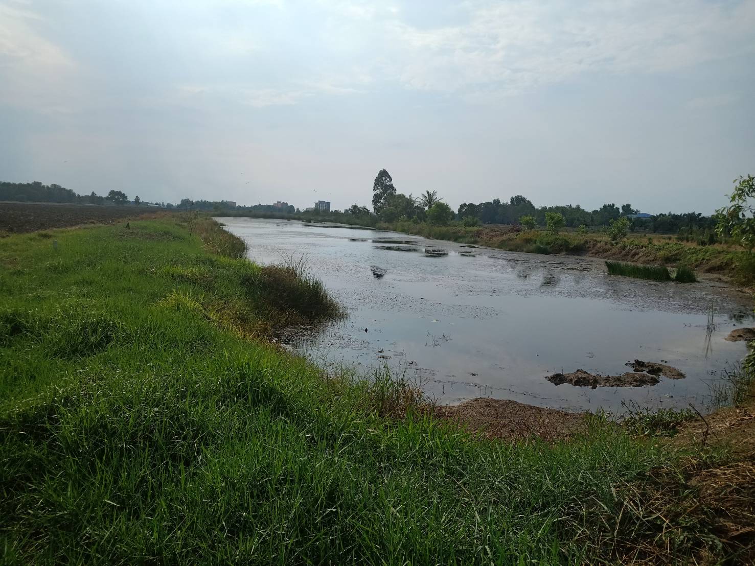 ขาย-ที่ดินจัดสรร จำนวน100ตรว. อยู่หลังอยู่หลังมหาลัยประสานมิตร ต.ศีรษะกระบือ อ.องครักษ์ จ.นครนายก