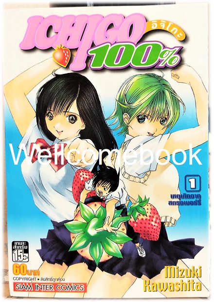Xรวมชุด "Ichigo อิจิโกะ 100% 19 เล่มจบ + Short Stories ตอนพิเศษ เล่มเดียวจบ" ~Mizuki Kawashita~