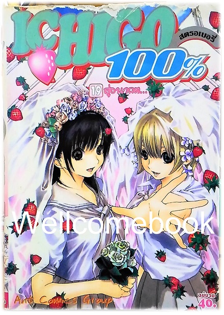 รวมชุด "Ichigo 100% 19 เล่มจบ + Short Stories ตอนพิเศษ เล่มเดียวจบ" ~Mizuki Kawashita~