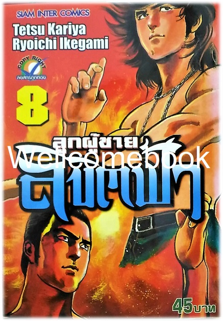 รวมชุด "ลูกผู้ชายลิขิตฟ้า" 10 เล่มจบ ~Ikegami Ryoichi~