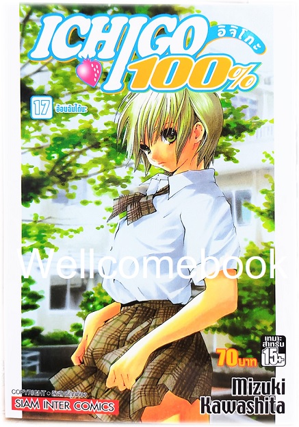 Xรวมชุด "Ichigo อิจิโกะ 100% 19 เล่มจบ + Short Stories ตอนพิเศษ เล่มเดียวจบ" ~Mizuki Kawashita~