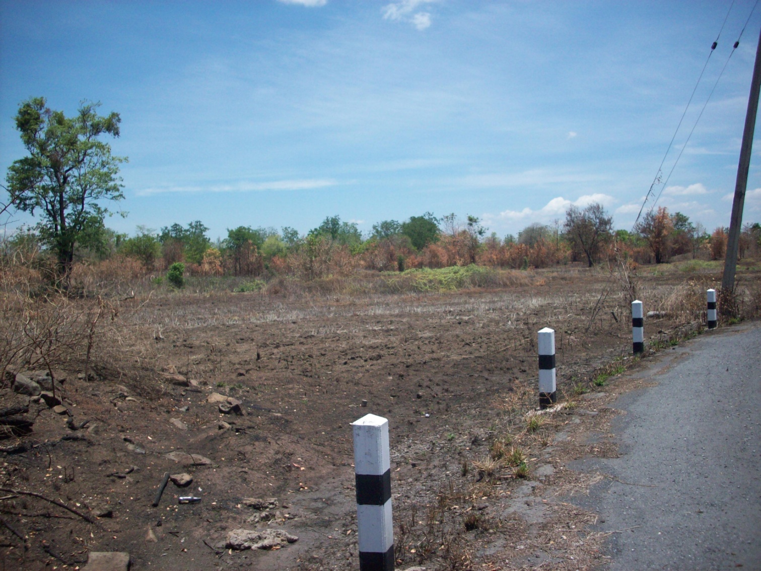 ที่ดินเปล่า จำนวน180ไร่ต.ม่วงคอม อ.พัฒนานิคม จ.ลพบุรี