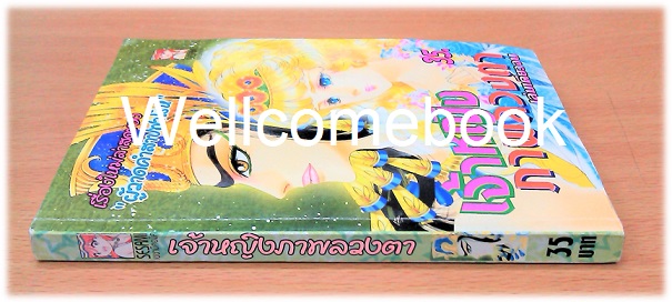 เจ้าหญิงภาพลวงตา เล่มเดียวจบ ~Hosokawa Chieko~