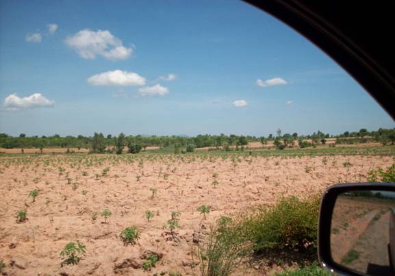 ขาย - ที่ดิน 400 ไร่ พัฒนานิคม ลพบุรี (แปลงที่1)