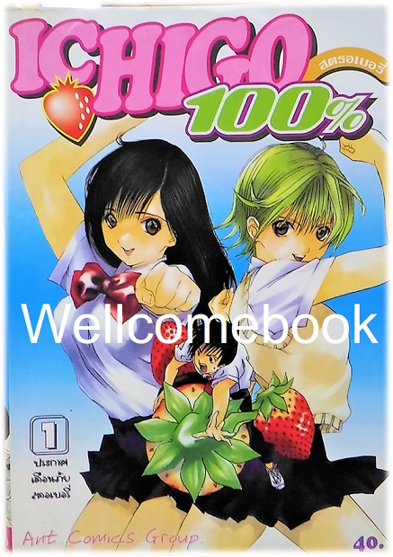 รวมชุด "Ichigo 100% 19 เล่มจบ + Short Stories ตอนพิเศษ เล่มเดียวจบ" ~Mizuki Kawashita~