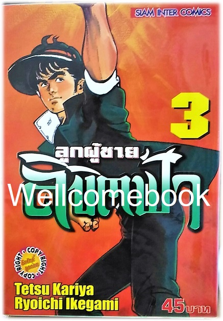 รวมชุด "ลูกผู้ชายลิขิตฟ้า" 10 เล่มจบ ~Ikegami Ryoichi~