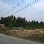 ที่เปล่าถมแล้ว มีทั้งหมด10ไร่ ถนนมอเตอร์เวย์ กม.109 ต.ตะเคียนเตี้ย อ.บางละมุง จ.ชลบุรี