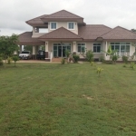 ขายบ้านพร้อมที่ดิน 1 ไร่ 2 งาน 3 ห้องนอน 3 ห้องน้ำ มีแอร์ น้ำอุ่นครบทุกห้อง มีกล้องวงจรปิด 4 ตัว ห่างจากบิ๊กซีขับรถ ประมาณ 5นาที่ถึง อยู่ อ.ตระการพืชผล ถ.อาเซี่ยนเส้น 2050 ไปเข็มราฐ ข้ามลาว เวียดนาม จีน ได้เลย ที่จะอยู่บนเนินสูงวิวสวย บ้านสร้างได้ 1 ปีครึ