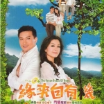 บ้านนี้ขาดรัก [The Green Grass of Home] 4 แผ่น พากษ์ไทย