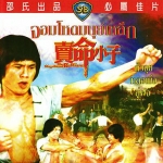 จอมโหดมนุษย์เหล็ก The Magnificent Ruffians 1979