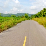 ที่ดินเปล่า736ไร่ ถนนแก่งคอย-นครนายก ต.ท่ามะปาง อ.แก่งคอย จ.สระบุรี ห่างจากถนนใหญ่ประมาณ1กิโลเมตร มีถนนคอนกรีตและไฟฟ้าสามเฟรส ถึงที่ดิน