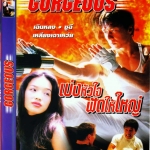 เบ่งหัวใจฟัดให้ใหญ่ GORGEOUS (1999) เฉฺินหลง