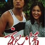 แผ่นดีวีดี ไม่มีเสียงไทย หนังจีนเก่าในอดีต เลือดต่างสี The Brother 1980 親情