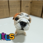 ตุ๊กตาสุนัข เรซิ่น พันธุ์บลูด๊อก หัวดุ๊กดิ๊ก10cm.
