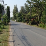 ที่ดินเปล่า จำนวน1ไร่ ติดถนน 2 ด้าน ถ.ทับยาว ลาดกระบัง ราคาไร่ละ 3,500,000 บาท