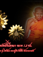 ดอกพิกุลโภคทรัพย์เงินไหลมา ขนาด 1.2 ซม ( ให้เช่า ไม่รวมเลี่ยม) วัตถุมงคลเครื่องราง รุ่น โชควัฒนา หลวงปู่เจือ ปิยสีโล วัดกลางบางแก้ว สวย สะสม ไม่ผ่านการใช้ จ้า