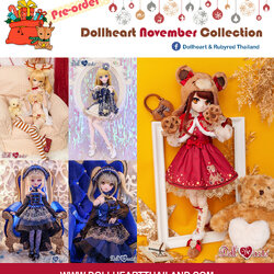 DH COLLECTION 11/2022