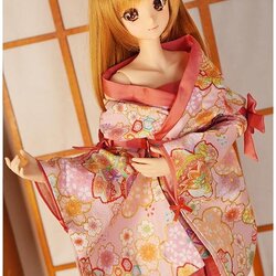 [PRE-ORDER] DD-L Sakura Hime