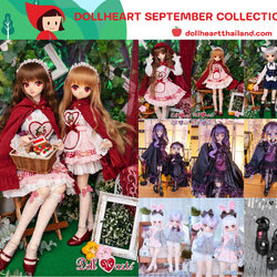 DH COLLECTION 08/2023