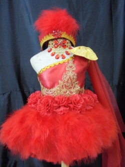 ชุดดรัมเมเยอร์สีแดง ราคานี้ มีชุด หมวก สร้อย ต่างหู รอบอกตั้งแต่20-30นิ้ว สูงไม่เกิน 130 เซนติเมตร